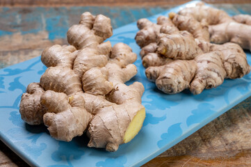 Fresh organic ginger roots, healthy food ingredient