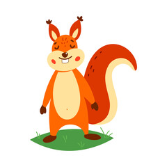 Cute squirrel on a white background. Vector illustration