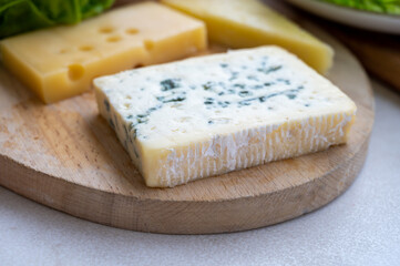 Cheese collection, French fol epi  cheese with many little holes, etorki, tomme noire des pyrenees and ossau iraty cheese