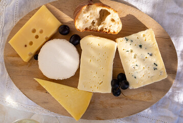 French cheese collection on marble board, emmental, carre de aurillac, petit cantal AOP Jeune, buche chevre, brie