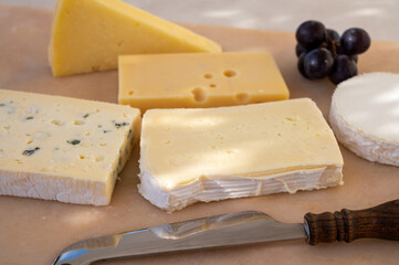 French cheese collection on marble board, emmental, carre de aurillac, petit cantal AOP Jeune, buche chevre, brie