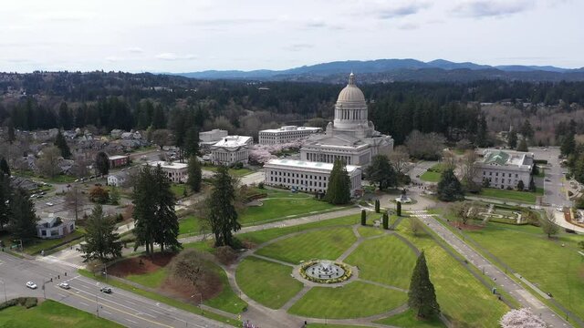 Cinematic aerial drone flyover footage of the springtime cherry blossoms at the Washington State Capitol Building and Campus, Capitol Lake, Tivoli Fountain and surrounding park in Olympia, Washington