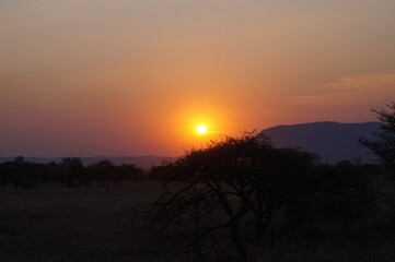 feel the african sun