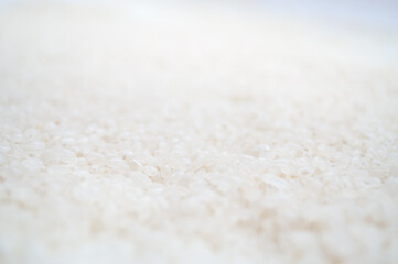 Texture of white rice for cooking sushi