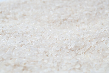 Texture of white rice for cooking sushi