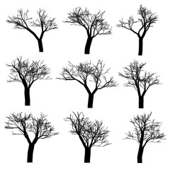 Set of vector trees. Vector tree icon. Tree logo. Vector tree design. Fruit trees and fruit trees. Wild trees and shrubs.