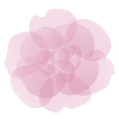Pink flower for a summer postcard, vector drawing in pastel shades. Delicate natural pattern for the cover.