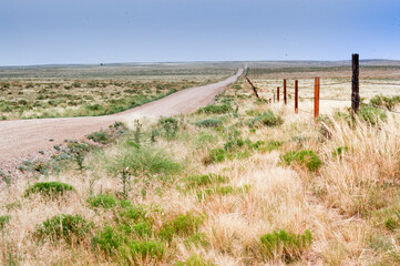 Fototapeta na wymiar Deserted road and fences stretching out to the horizon, late afternoon, Weld County, Colorado