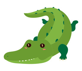 Crocodile