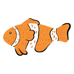 Clownfish isolated on white background. Funny aquatic character orange color in hand drawn style.