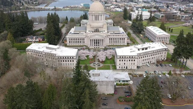 Cinematic aerial drone reveal shot of springtime cherry blossoms at the Washington State Capitol Building and Campus, Capitol Lake, with a panoramic view of Historic District in Olympia, Washington