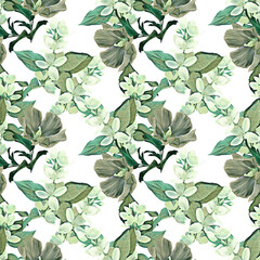 Jasmine flower seamless pattern.