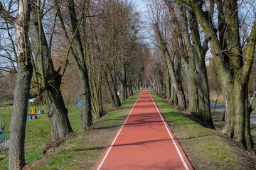  Running track in a public park. Sunny spring morning.