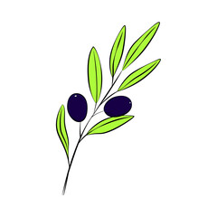 Olive branch in sketch style with dark blue olives for food design, cafes, restaurants, catering, delivery