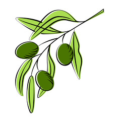 Olive green branch in sketch style