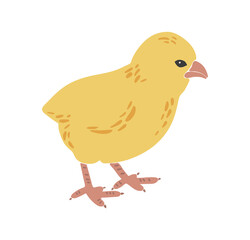 Abstract chicken silhouette, boho yellow isolated chick, Easter traditional elements, Easter chicken decoration, funny chick, vector illustration