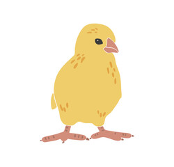 Abstract chicken silhouette, boho yellow isolated chick, Easter traditional elements, Easter chicken decoration, funny chick, vector illustration