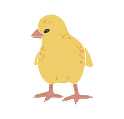 Abstract chicken silhouette, boho yellow isolated chick, Easter traditional elements, Easter chicken decoration, funny chick, vector illustration