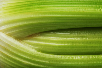 Fresh celery stalks close-up as a full-screen texture.