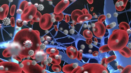 Animation of covid 19 and red blood cells floating in organism over black background