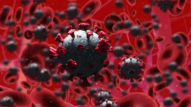 Animation of covid 19 and red blood cells floating over red background