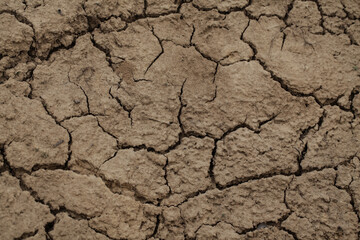 Brown dry earth. Cracks Close up natural background. Drought.