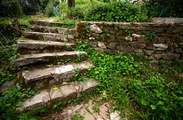 green plants on the old stairs