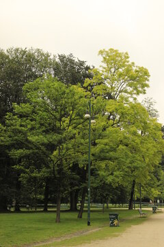 Serene landscape of an empty park in Milan, good for showing empty public spaces in Covid/pandemic, empty bench in greenery and dull weather