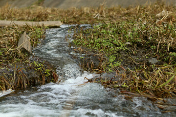 A river running downstream, with a small waterfall
