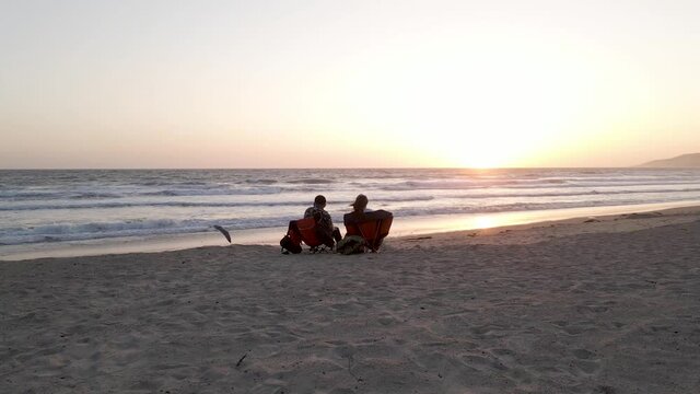 Aerial view around a couple on beach, enjoying the sunset, seagull flying by - Circling, low, Slow motion, drone shot