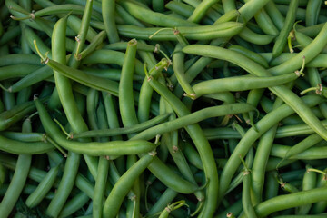 Fresh green beans at organic italian market