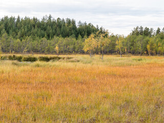 Flark fen surrounding a lake