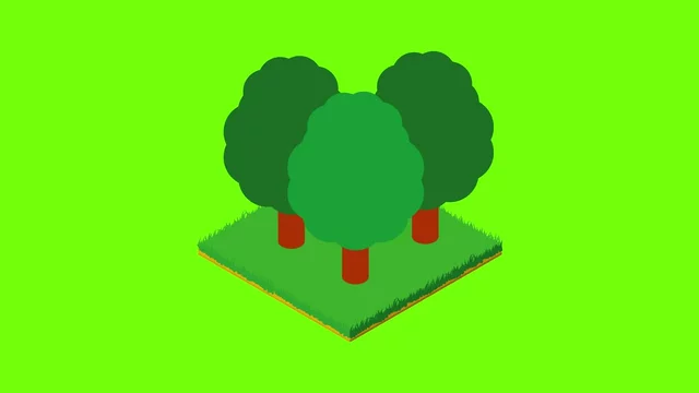 Deciduous forest icon animation cartoon best object on green screen  background Stock Video | Adobe Stock