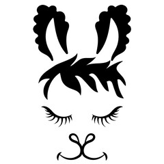 Llama face with eyelashes ears hair and mouth 