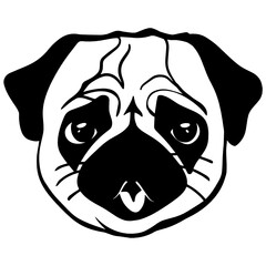 Cute pug dog drawing 