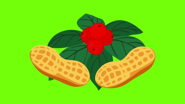Bio food icon animation cartoon best object on green screen background