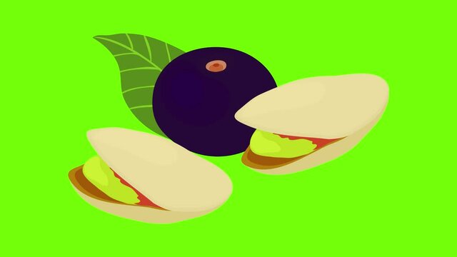 Exotic product icon animation cartoon best object on green screen background