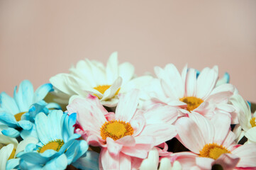 bouquet of flowers multicolored chrysanthemums on a pink background. High-quality photo