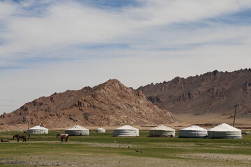 Beautiful landscape of Mongolia. Untouched nature in summer with grass and flowers.