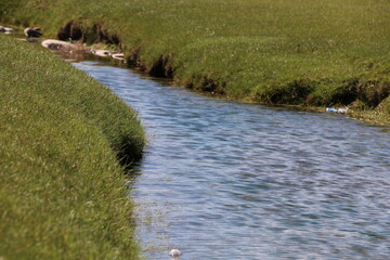 Beautiful landscape of Mongolia. Untouched nature in summer with grass and flowers.