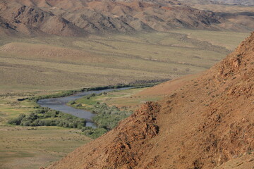 Beautiful landscape of Mongolia. Untouched nature in summer with grass and flowers.