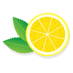 Lemon slice illustration for web isolated on white background