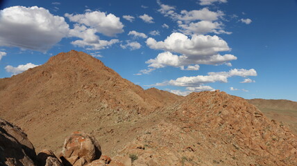 Beautiful landscape of Mongolia. Untouched nature in summer with grass and flowers.