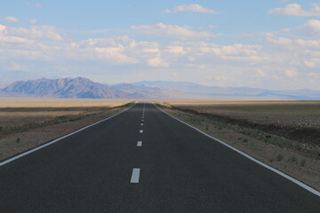 Beautiful landscape of Mongolia. Untouched nature in summer with grass and flowers. Mongolia, yurt, nomads, pastures, skull, camel, path, road in the dunes.