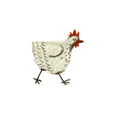 Grey chicken, character. Illustration on a white background.
