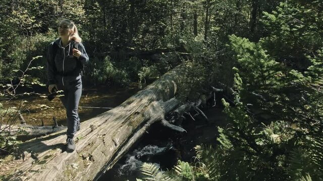 Traveler photographing scenic view in forest river. Wood bridge fallen tree. One caucasian woman shooting nice magic look. Girl take photo on camera.