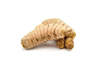 Curcuma roots isolated on white background. Turmeric