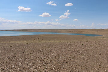 Beautiful landscape of Mongolia. Untouched nature in summer with grass and flowers.