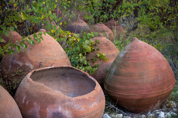 Large brown earthenware jars lie in the bushes. One clay barrel is broken. Cyprus, Omodos village. Pottery master's vessels