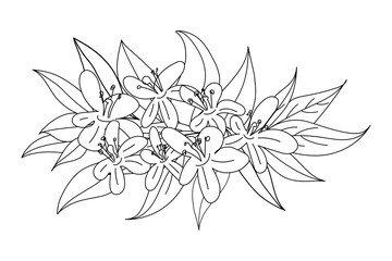 Vector illustration of blossoming flowers in line art style. Design elements for advertising perfume, booklets, banners, stickers, posters, flyers and cosmetic shop.